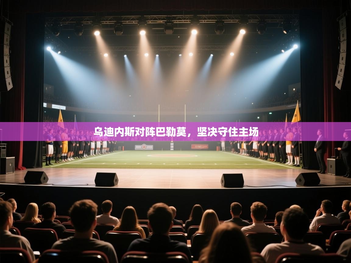 乌迪内斯对阵巴勒莫,坚决守住主场 第2张