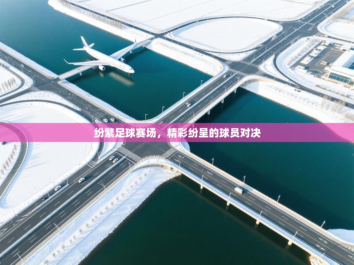 纷繁足球赛场，精彩纷呈的球员对决  第2张