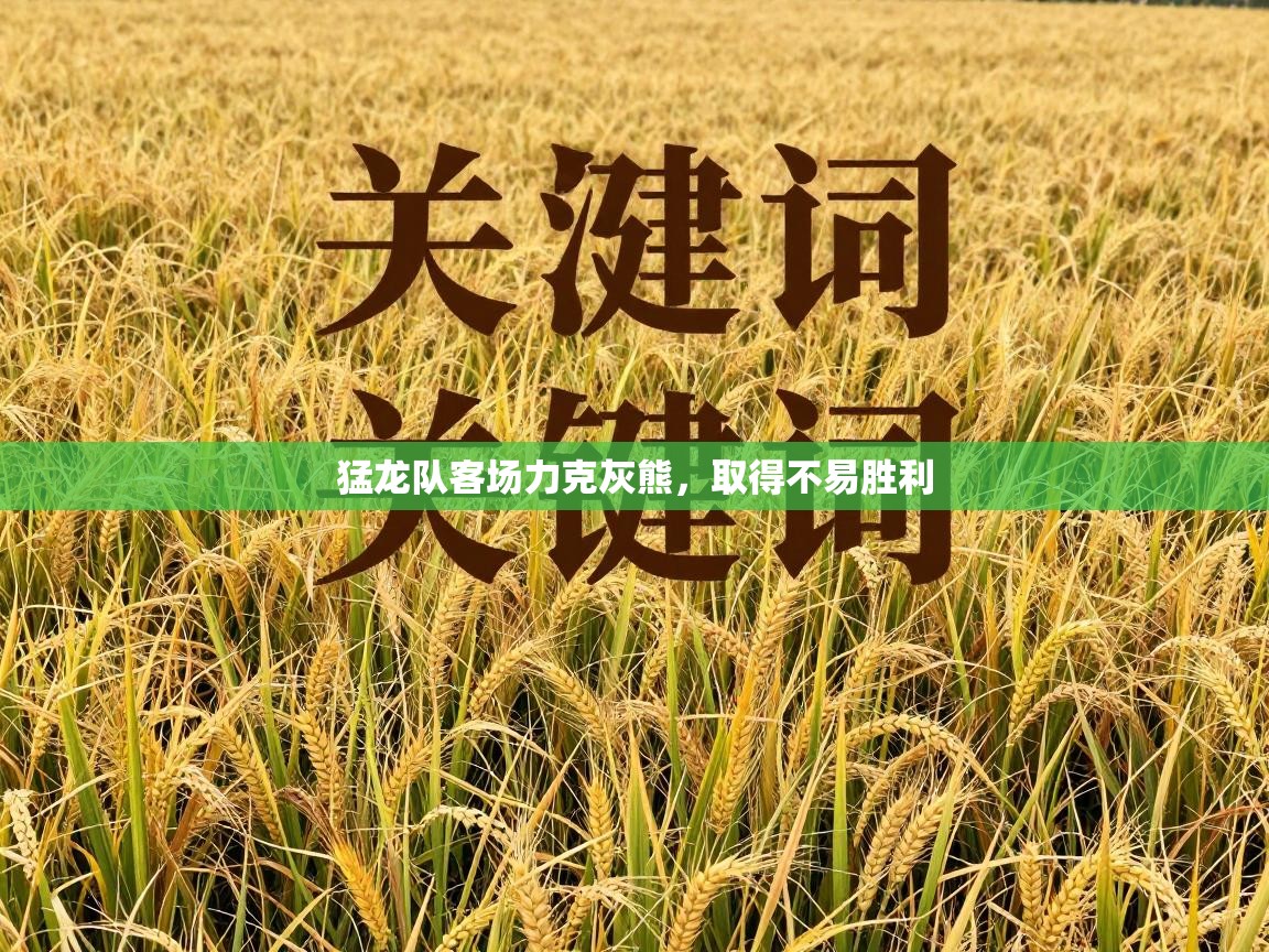 猛龙队客场力克灰熊，取得不易胜利  第1张