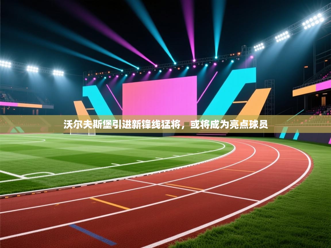 沃尔夫斯堡引进新锋线猛将，或将成为亮点球员  第1张