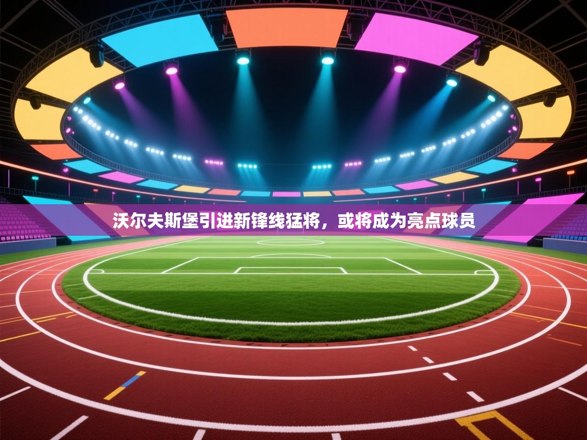 沃尔夫斯堡引进新锋线猛将，或将成为亮点球员  第2张